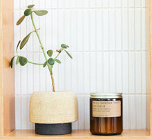 Load image into Gallery viewer, P.F. Candle Co. Teakwood and Tobacco Soy Candle