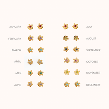 Load image into Gallery viewer, Pip Pop Birthstone Flower Studs
